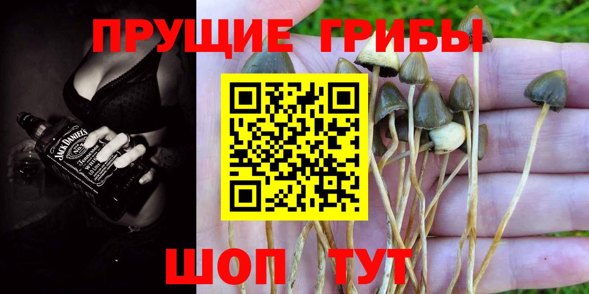 Конопля  Вход с VPN  Кодеин  ГАШИШ  ТГК  Алушта  Меф МЯУ МЯУ кристаллы  Кокаин 